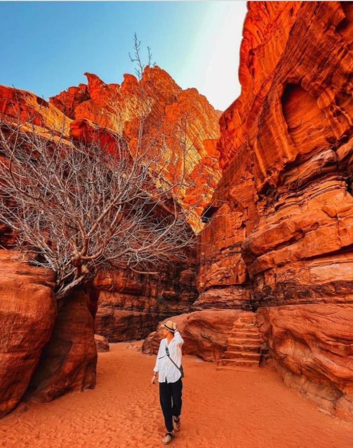 Saleem With Jeep Tour Apartment Wadi Rum Exterior foto