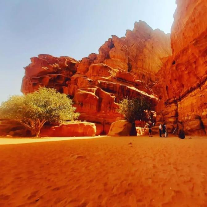 Saleem With Jeep Tour Apartment Wadi Rum Exterior foto